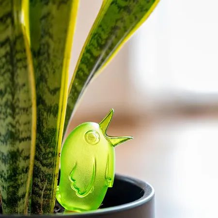 Csicsergo * Zamárdi