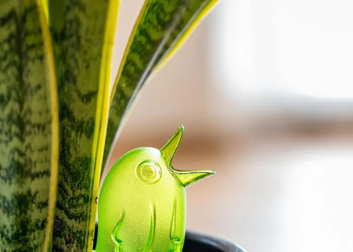 Csicsergo * זמראדי